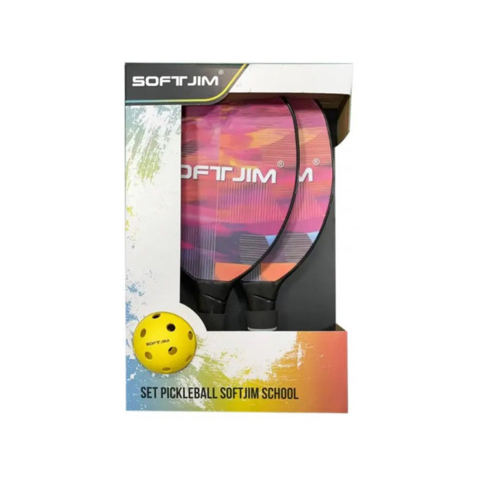 Pickleball set school