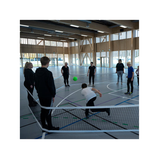 GaGaNet | Portable Gaga Ball Net 2 x 10 m - Nordic Sport