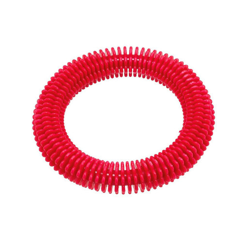 Dive Ring with Lamellae - Nordic Sport
